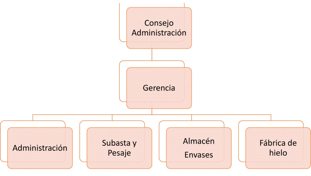 Organigrama de la Lonja de Gijón