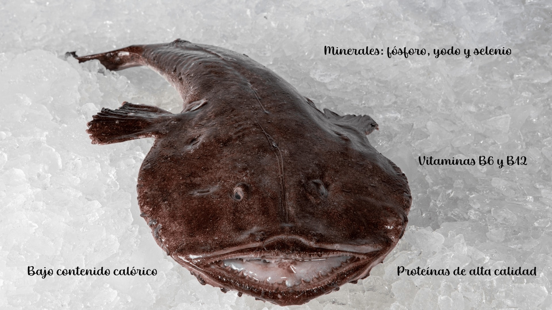Infografía con los beneficios del pescado fresco para la salud