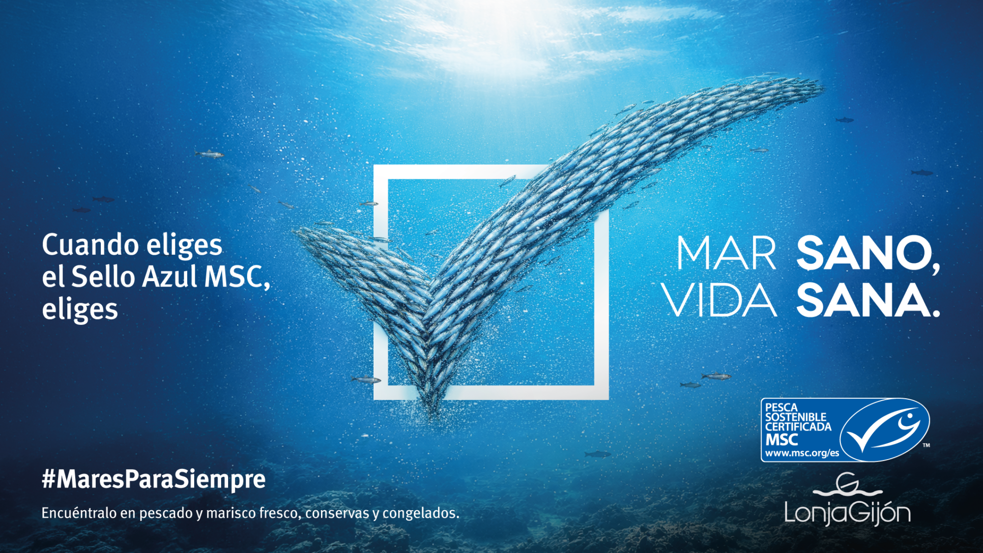 Cartel de la Semana Mares para Siempre con el lema Mar Sano, Vida Sana de MSC en la Lonja de Gijón